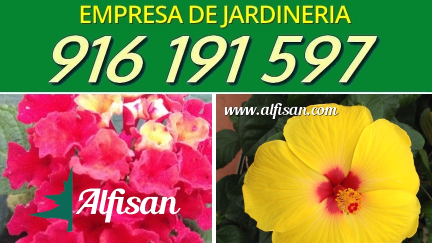 Empresa jardineria ALFISAN S.L.