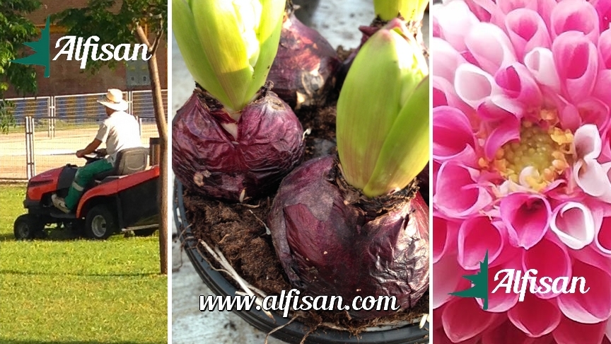 Empresa jardineria ALFISAN S.L.